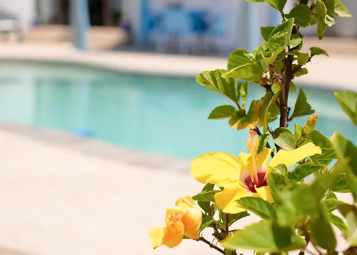 Linda * Playa Blanca (Lanzarote)