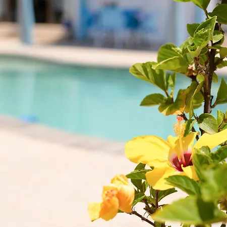 Linda * Playa Blanca (Lanzarote)